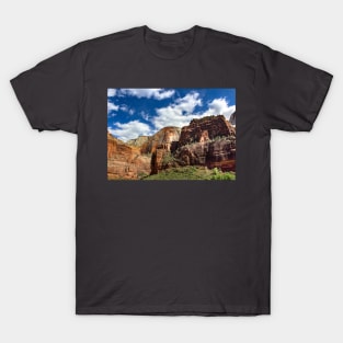 Zion National Park T-Shirt